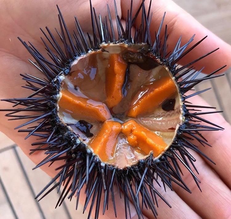 35B71732-1A00-4B9E-81D4-71C8744E52C9