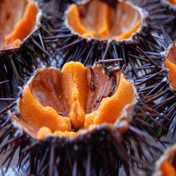 D0A4EF21-658D-447E-A2AC-A93979FA44F5