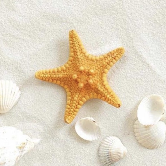 52DF9632-39BD-470D-8E43-473FAF878E0F