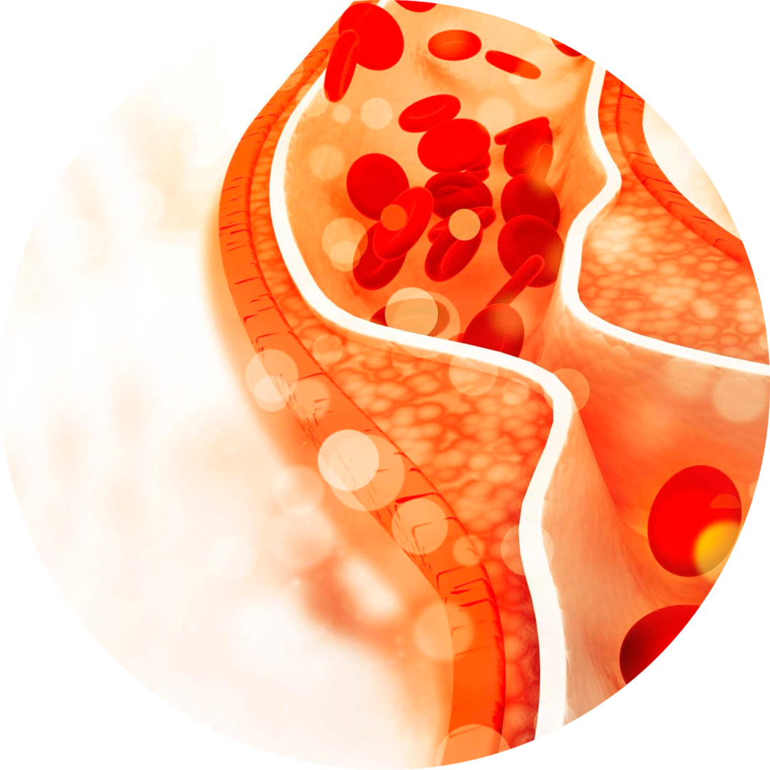 Слой 5 копия (1)