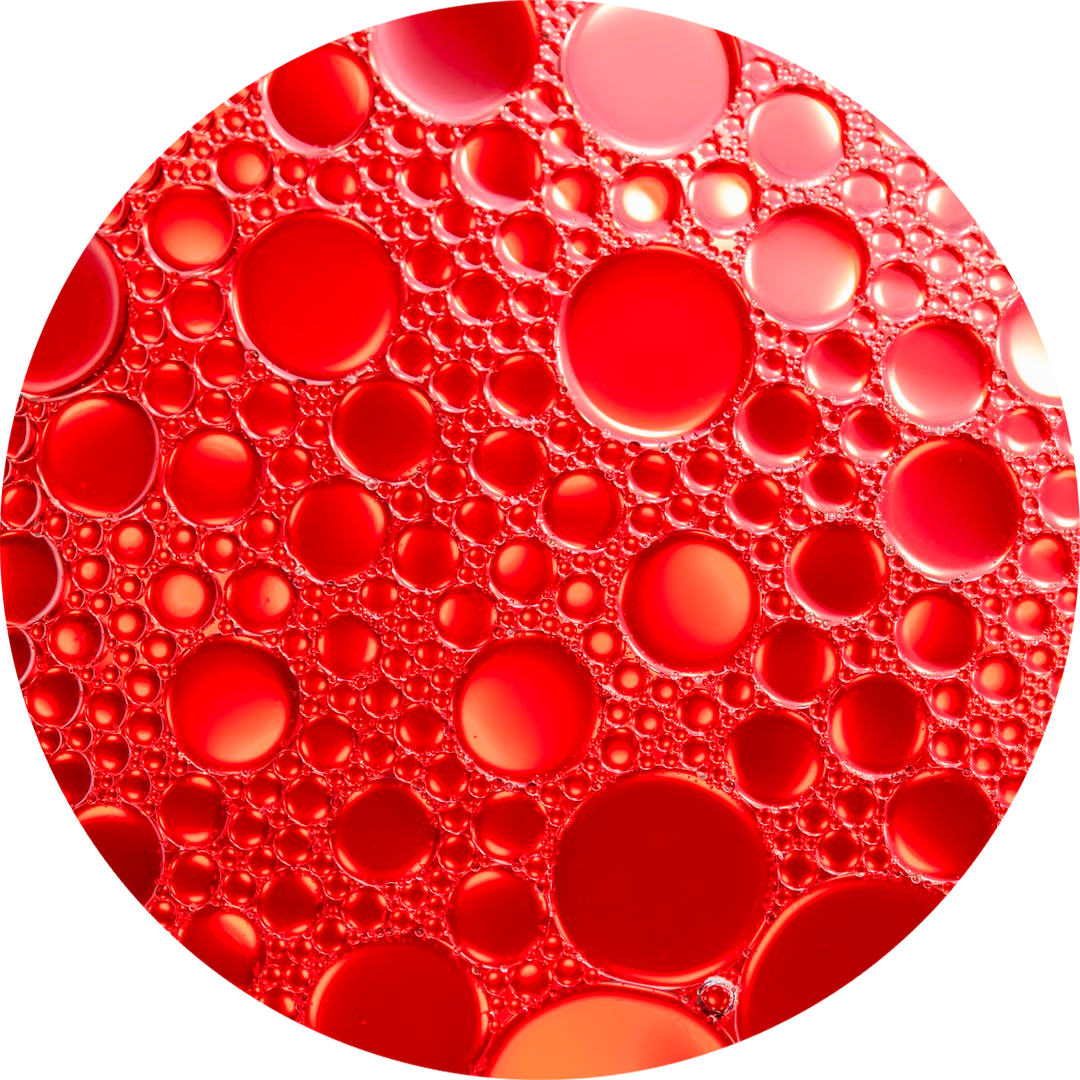 Слой 7 копия