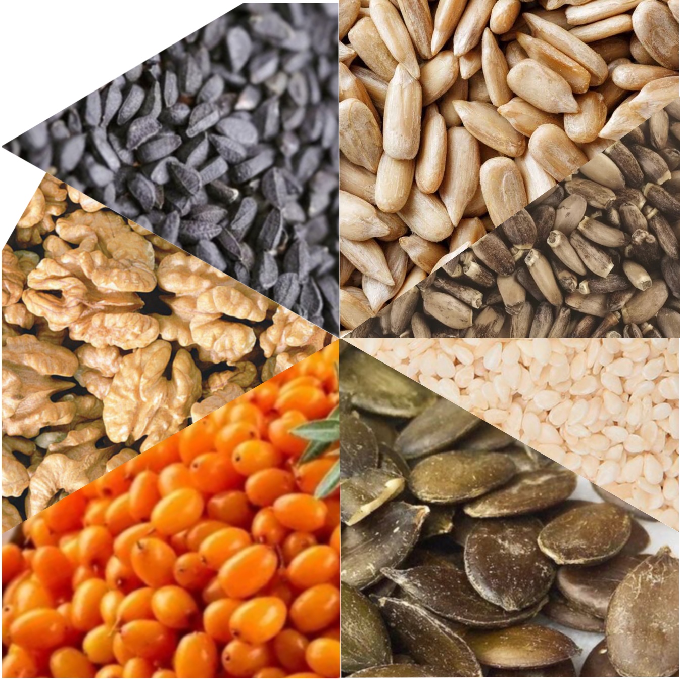 EE10931D-4B0B-4307-9703-F7A92DD8BAC4