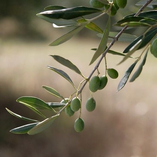 943ECB7C-C6E3-4D29-B9F5-D91FAFF9B2A0про