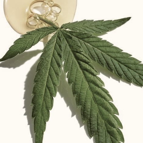 E365E4AC-6849-4F99-8E0A-E408B8B3D3EB